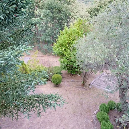 Jaza Paraiso * Cercedilla
